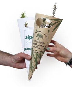 Alternative view of Arbre en cornet