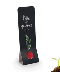 Bille de graines colorée et étui