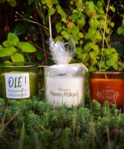 Alternative view of Bougie nature