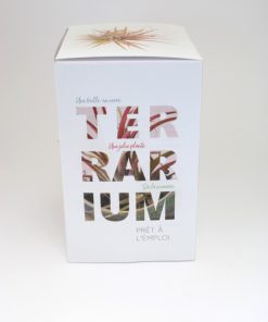 Alternative view of Petite plante ampoule