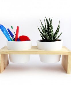 Alternative view of Plateau bois et plante