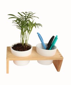 Plateau bois et plante