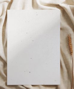 Alternative view of Cartes de vœux ensemencées