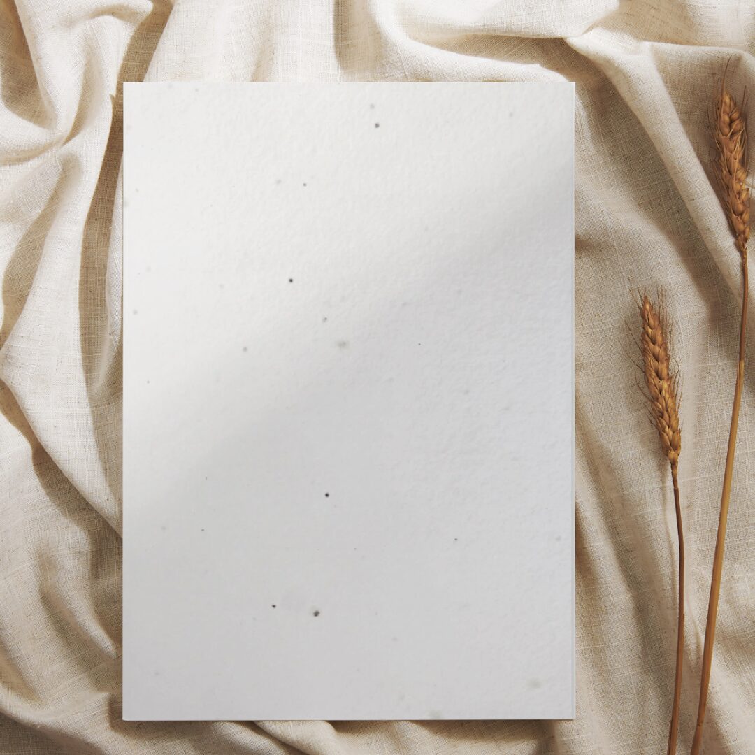 Cartes de vœux ensemencées – Image 2